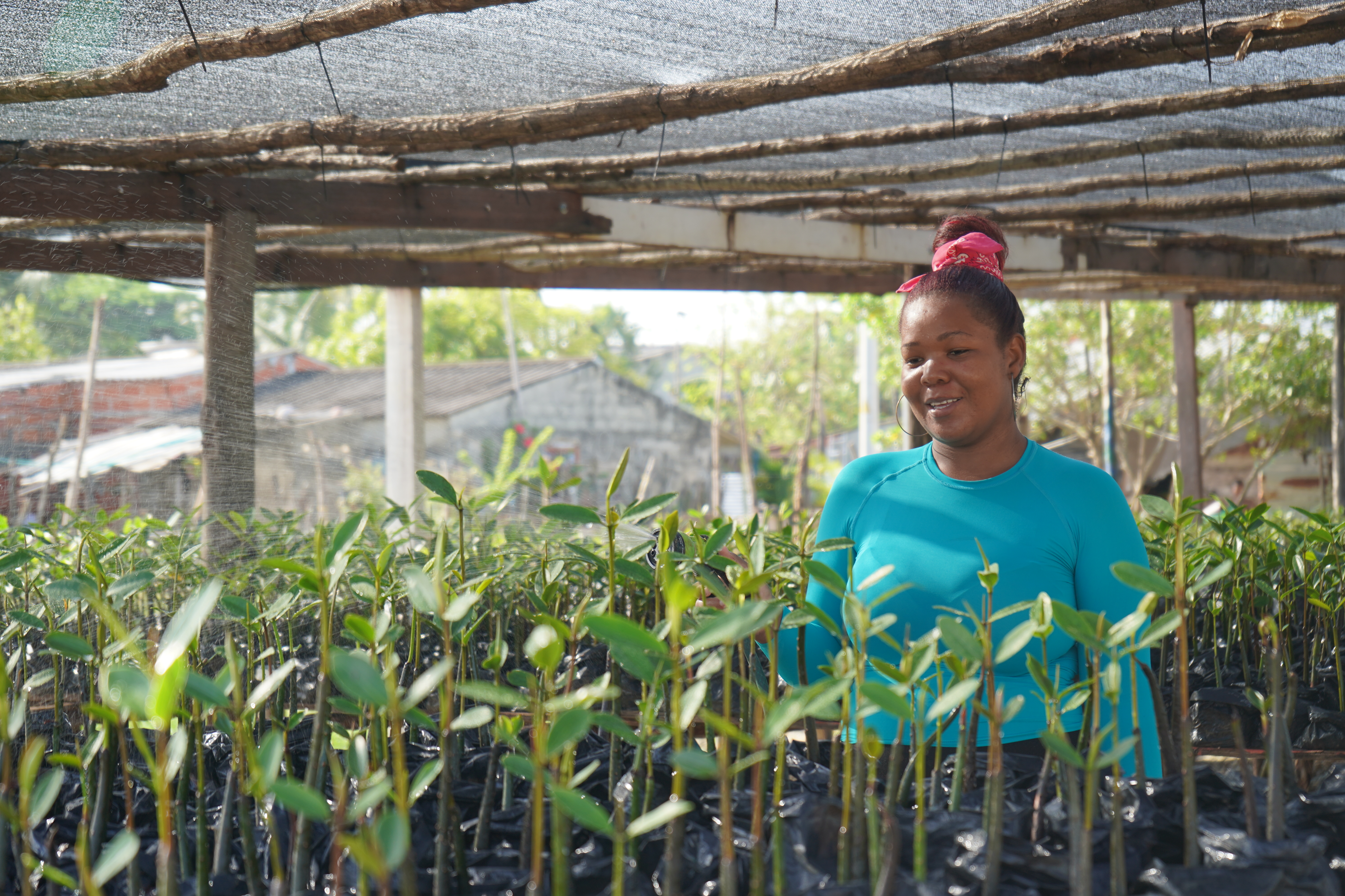 Vamos Colombia, una apuesta por un país más incluyente y fiable